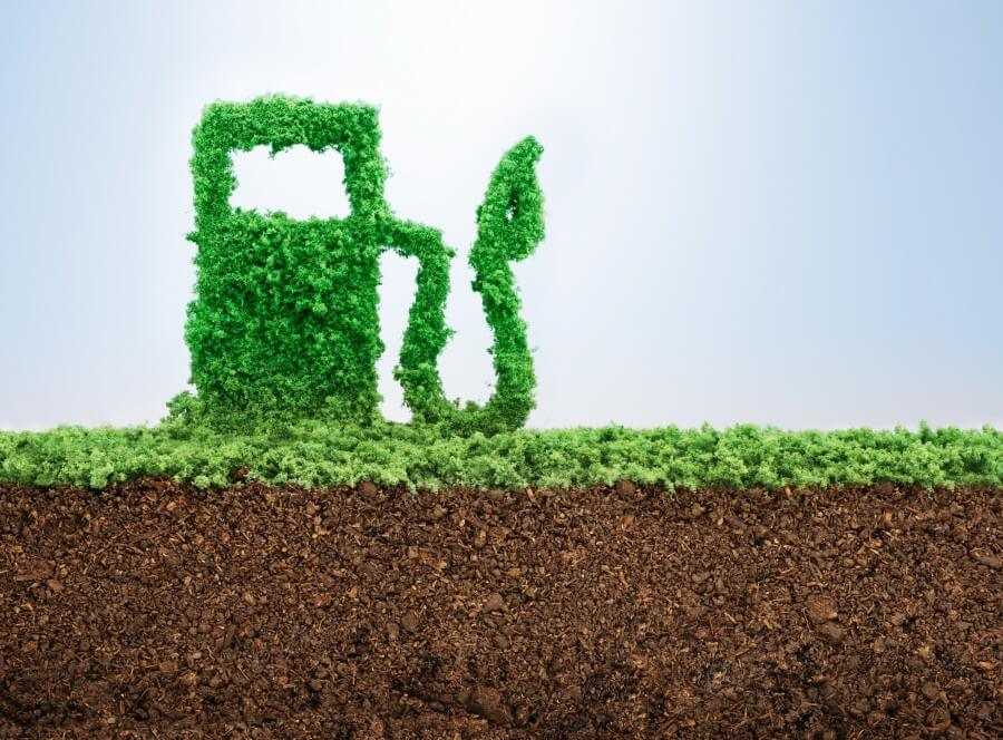 The ugly truth about Biofuels